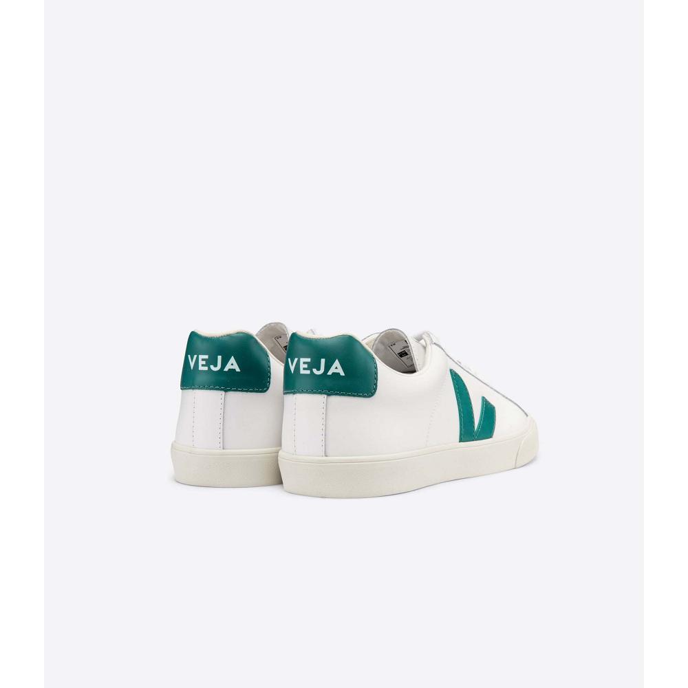 Αθλητικά Παπούτσια ανδρικα Veja ESPLAR LEATHER White/Green | GR 305ZUT